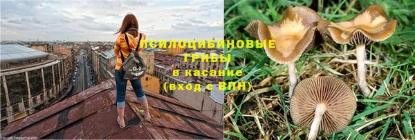 прущая мука Верея