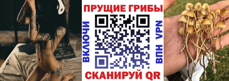 Галлюциногенные грибы прущие грибы  Инта 